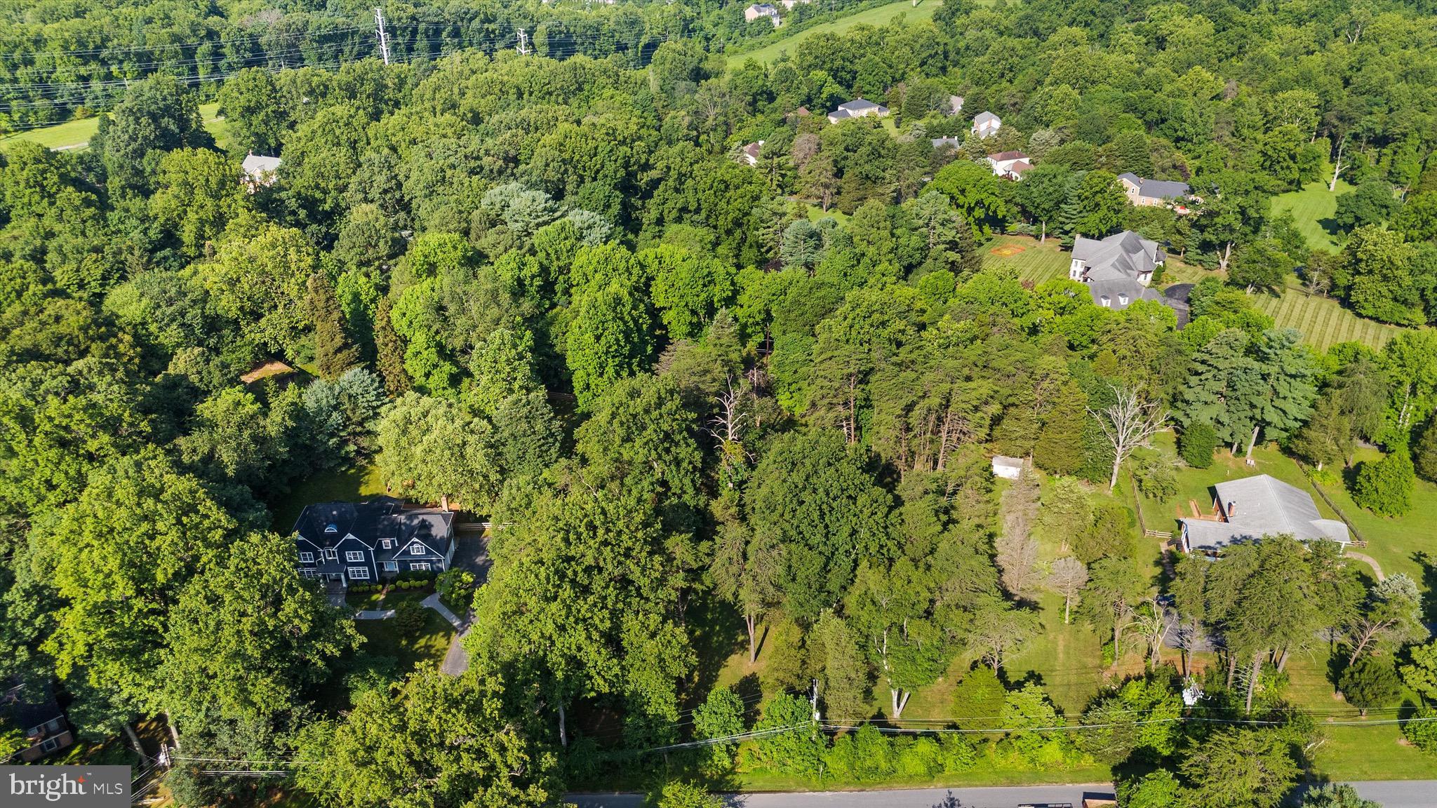 12606 Newgate Road Rockville, MD 20850 - Photo 18 of 43 a view of a plant in a garden