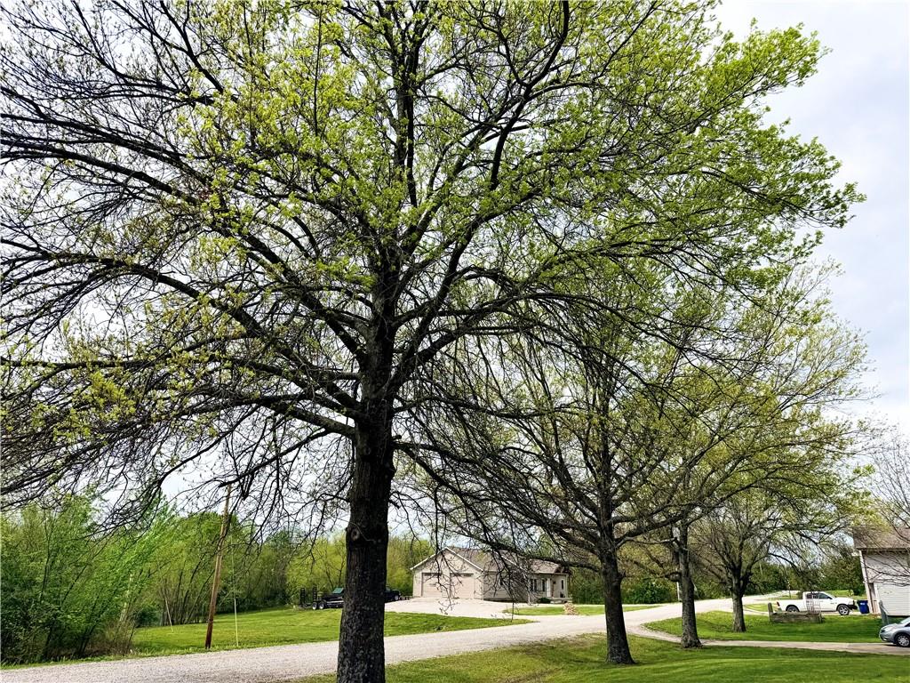 130 Northeast 1271st Road Knob Noster, MO 65336 - Photo 4 of 25