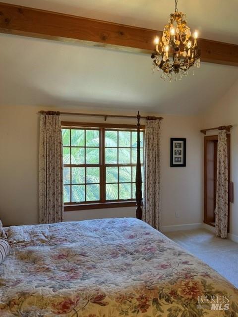 16875 Coleman Valley Road Occidental, CA 95465 - Photo 43 of 78