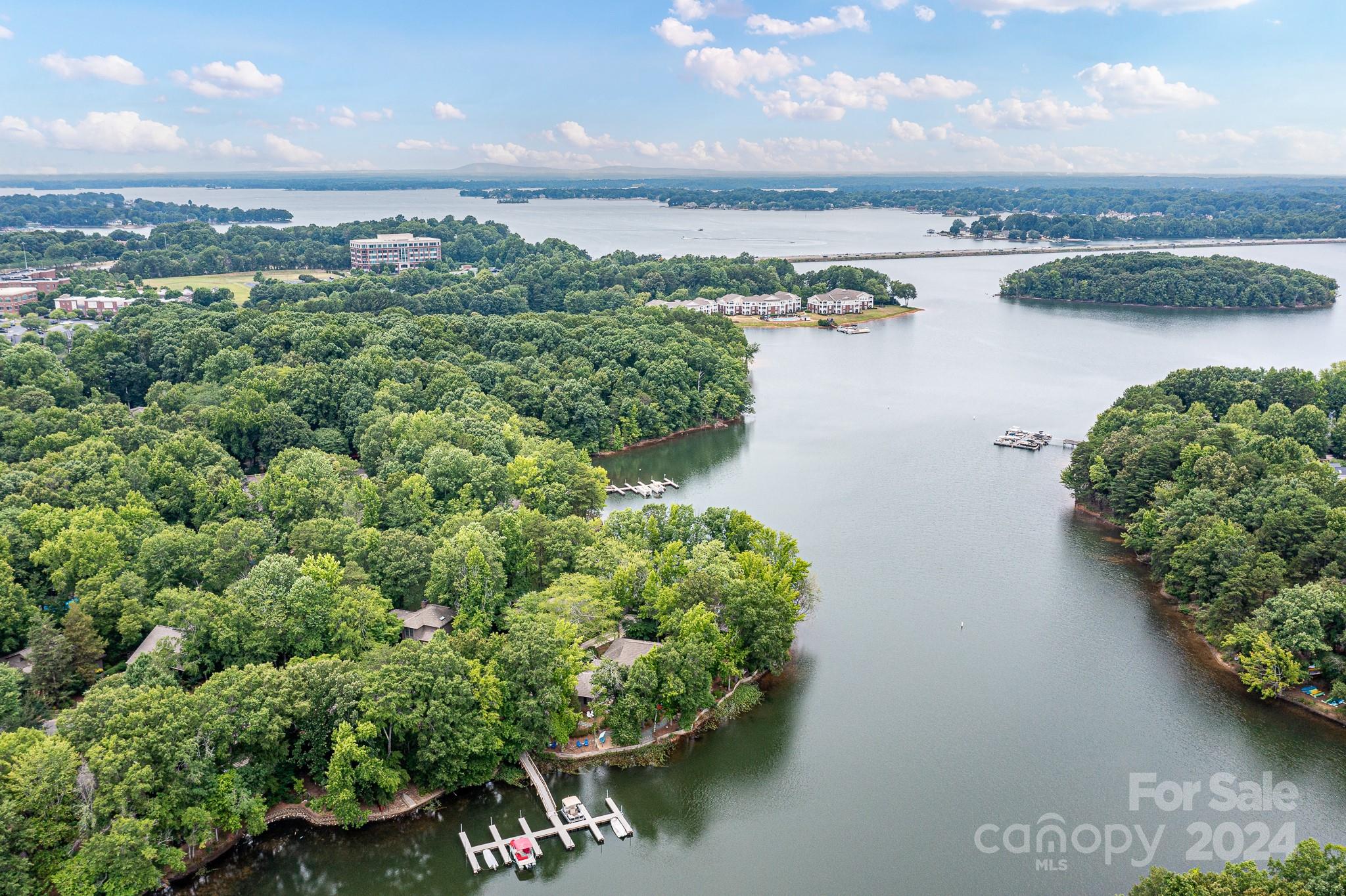449 Windward Drive Davidson, NC 28036 - Photo 5 of 39