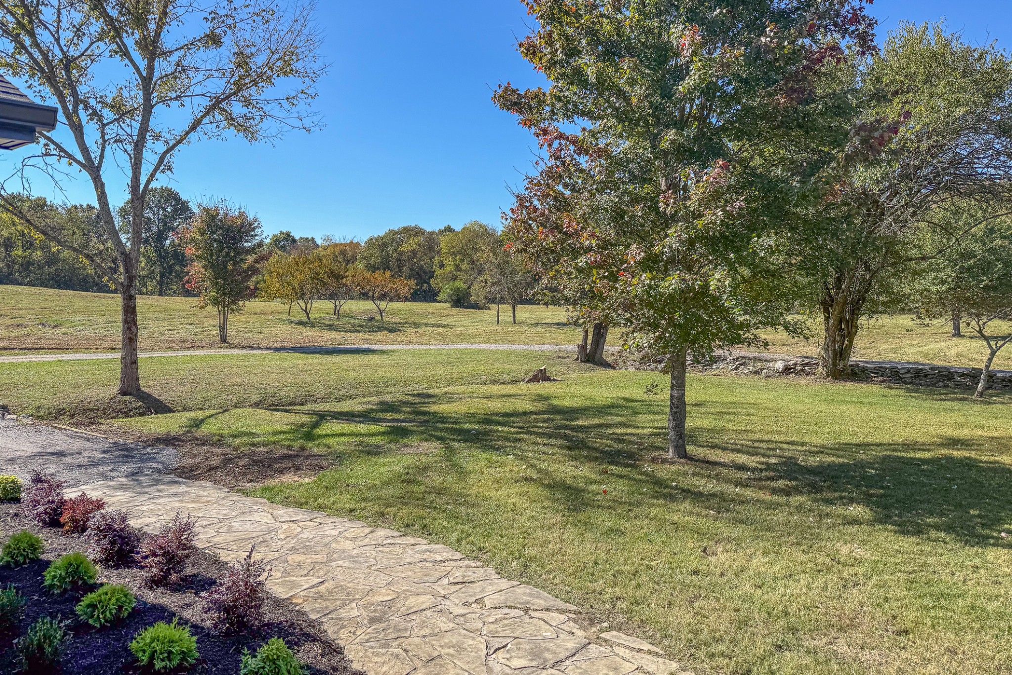 1380 Haley Road Watertown, TN 37184 - Photo 91 of 95 a view of a yard with a tree