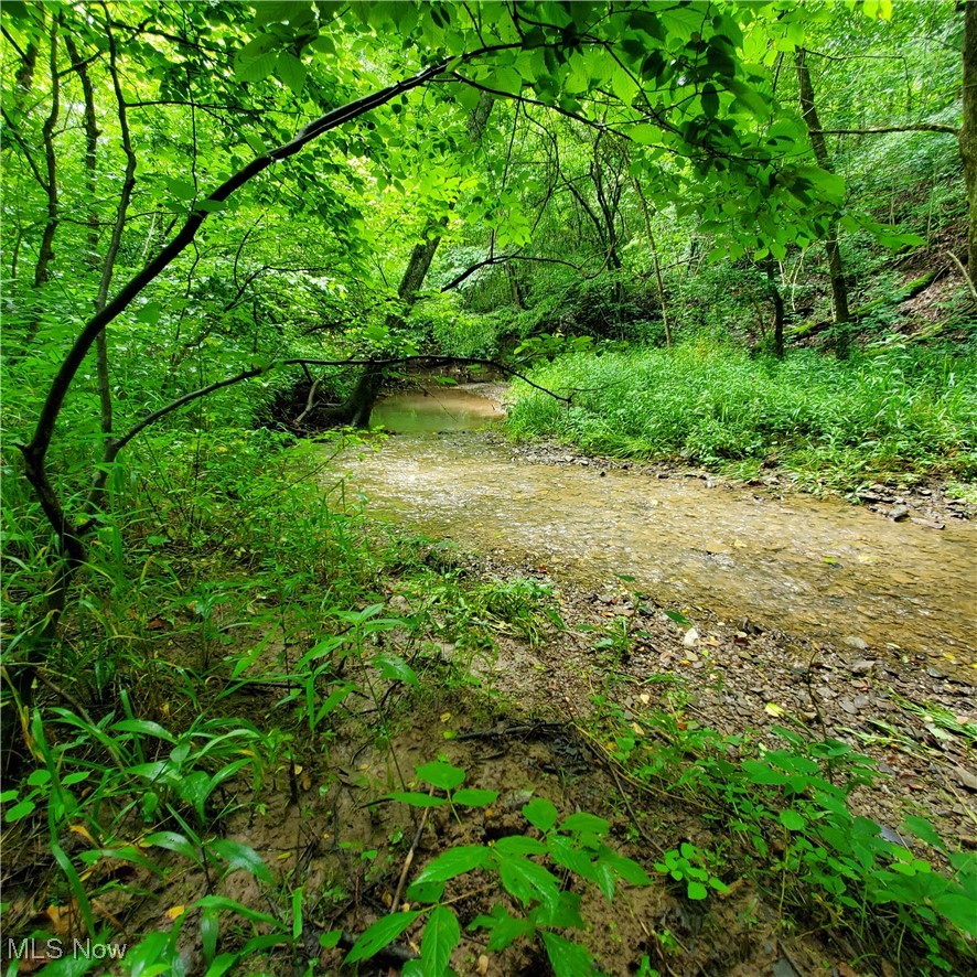 19693 Dudley Road Caldwell, OH 43724 - Photo 39 of 39 View of local wilderness
