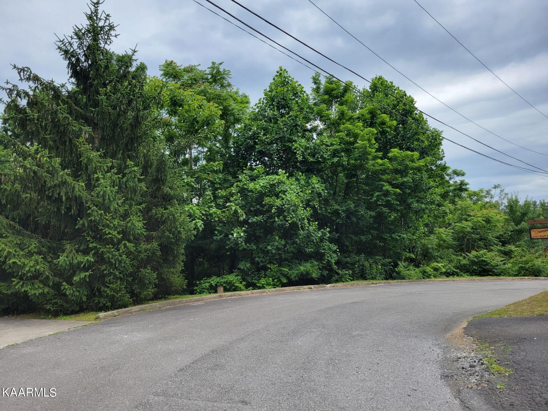 110 Bluff Ridge Road Sevierville, TN 37876 - Photo 7 of 10 a view of a field with plants and trees in front of it