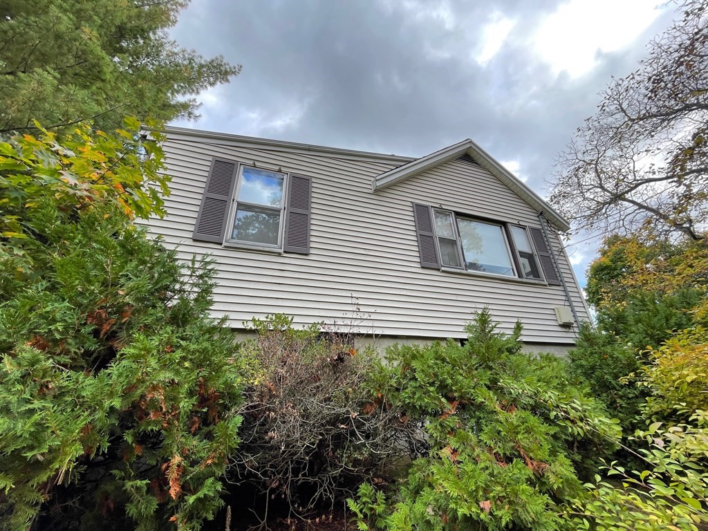 65 Beacon Street Melrose, MA 02176 - Photo 13 of 13 a house that has a lot of plants in it