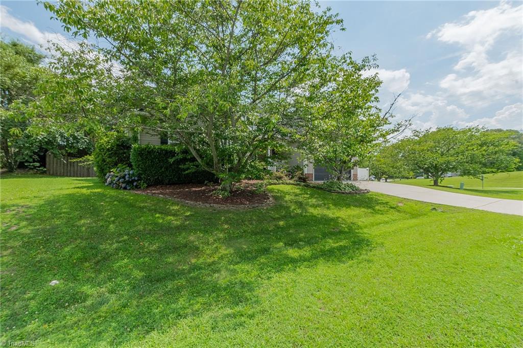 116 Cinnamon Way Clemmons, NC 27012 - Photo 5 of 46