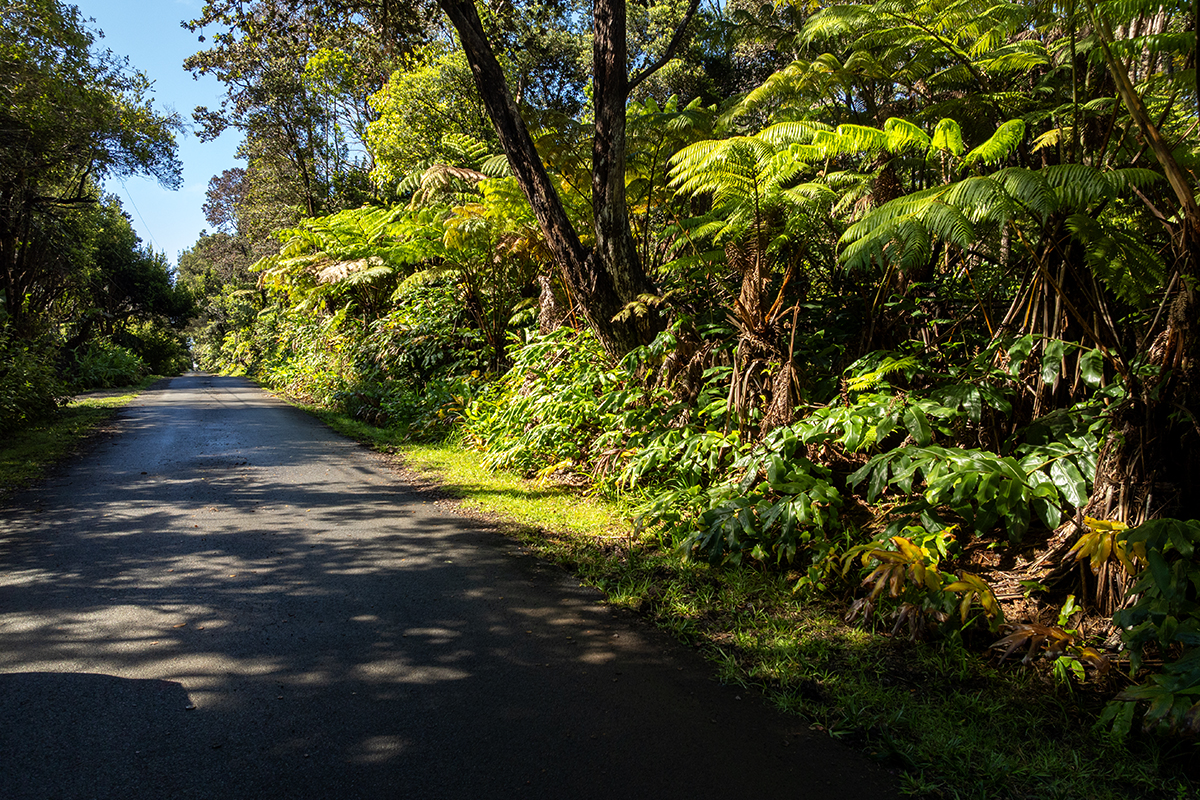8 Haunani Road Volcano, HI 96785 - Photo 2 of 10 a view of a street with a yard