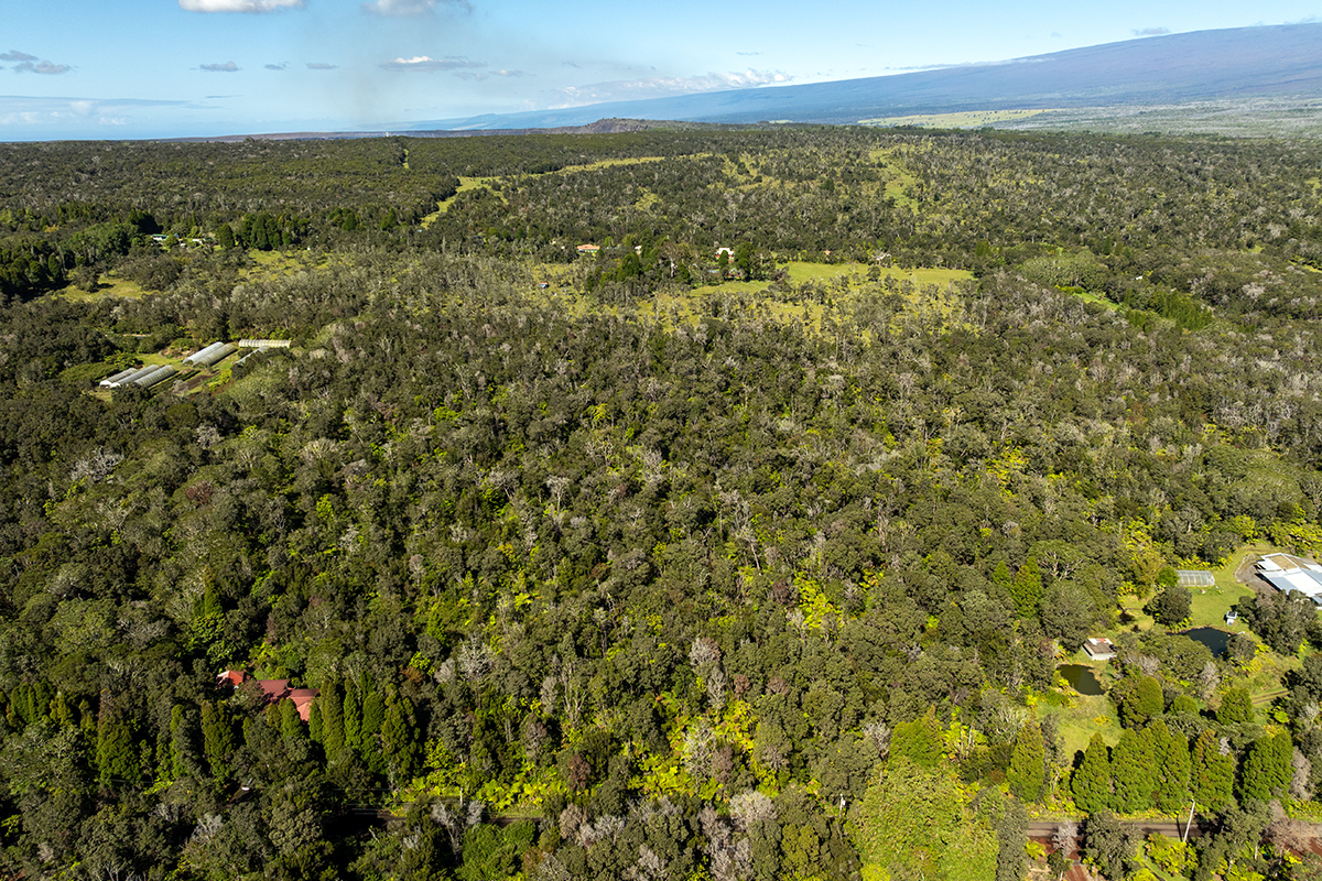 8 Haunani Road Volcano, HI 96785 - Photo 7 of 10 a view of city and ocean