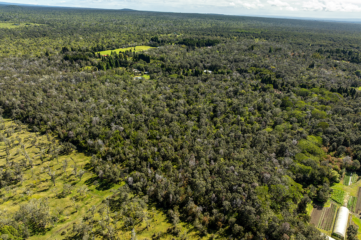 8 Haunani Road Volcano, HI 96785 - Photo 9 of 10 an aerial view of residential houses with outdoor space and trees