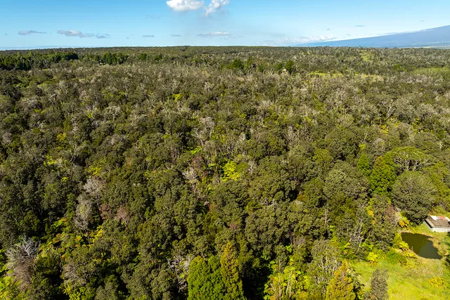 a view of city and an ocean