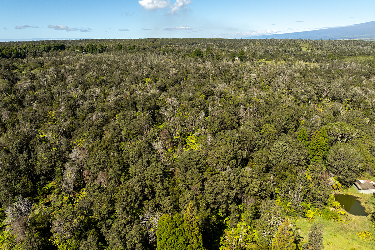 8 Haunani Road Volcano, HI 96785 - Photo 10 of 10 a view of city and an ocean