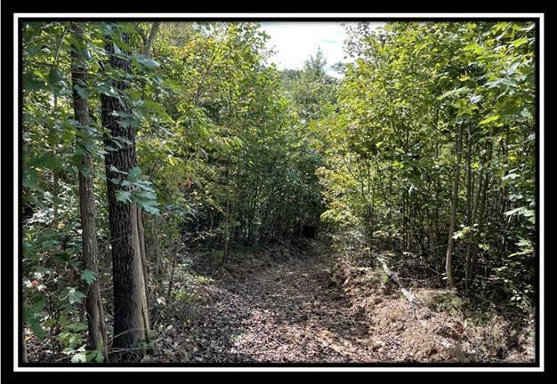 0 Clary Road, Unit TRACT 3) Ray, OH 45672 - Photo 9 of 45 image009