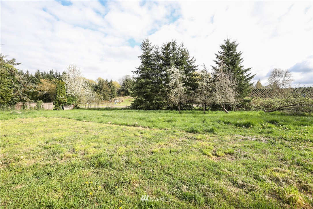 121 Damron Road Mossyrock, WA 98564 - Photo 17 of 17 Gallery Image 17