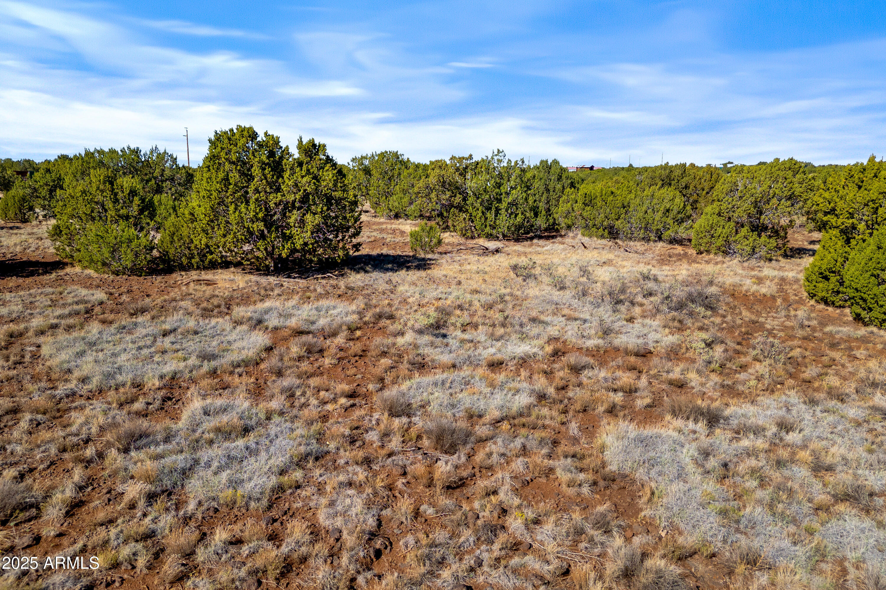 1397 Bourdon Ranch Road Show Low, AZ 85901 - Photo 17 of 20 1397BourdonRanchRd-ShowLow-AZ-16