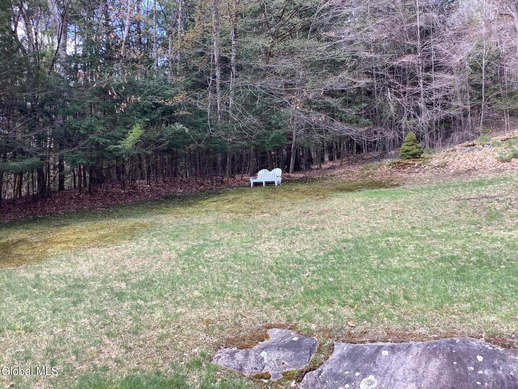 527 Potter Brook Road Chester, NY 12817 - Photo 10 of 25 Side Yard