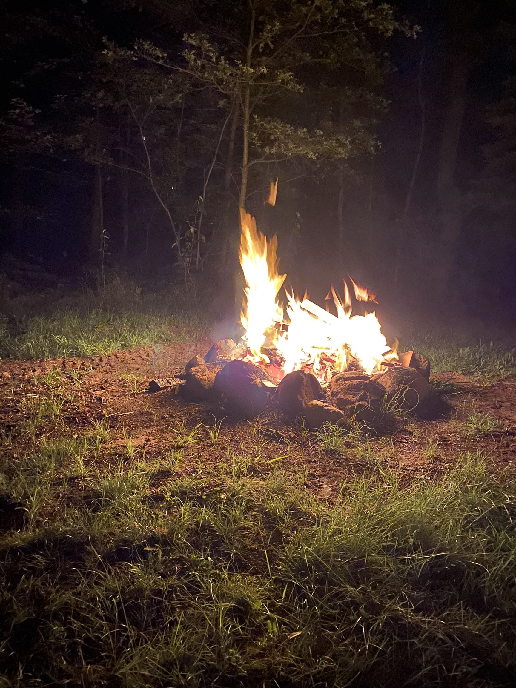 1881 West Haskell Lake Road Harrison, MI 48625 - Photo 51 of 81