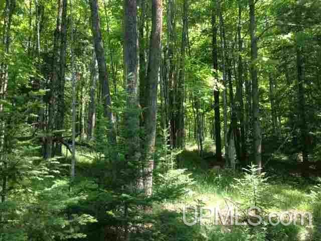 Tbd Off Co Rd 426 Ralph, MI 49877 - Photo 4 of 5