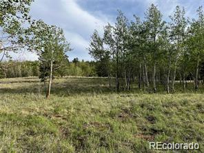 1599 Campfire Road Hartsel, CO 80449 - Photo 26 of 39 Gallery Image 26