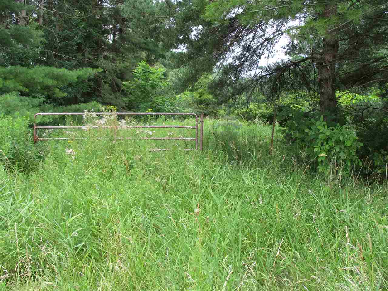 Parcel C North Byron Road Lennon, MI 48449 - Photo 5 of 13