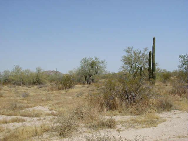 0 South Rincon Road, Unit 55 Maricopa, AZ 85139 - Photo 1 of 4 Primary Photo