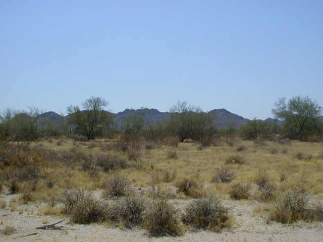 0 South Rincon Road, Unit 55 Maricopa, AZ 85139 - Photo 3 of 4 Additional Photo