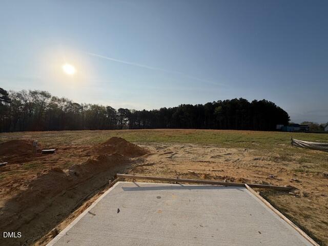 169 Big Pine Road Clayton, NC 27520 - Photo 19 of 20 IMG_0122