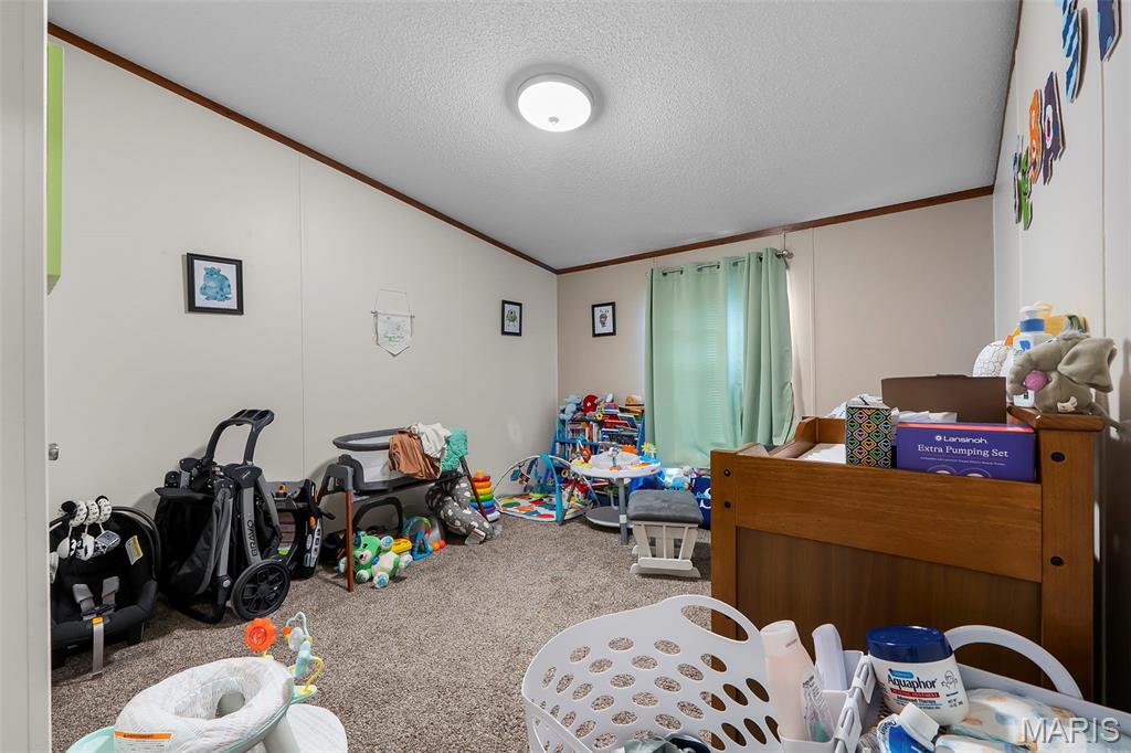 331 Chester Street Benton, MO 63736 - Photo 20 of 22