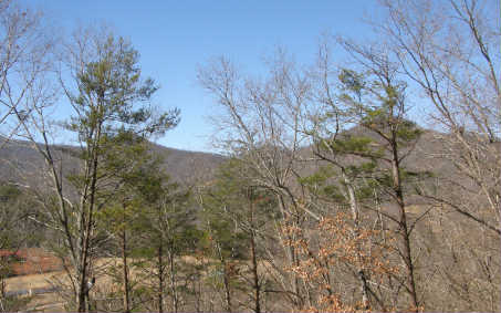 12 Covered Bridge Road Hiawassee, GA 30546 - Photo 1 of 1 Main View