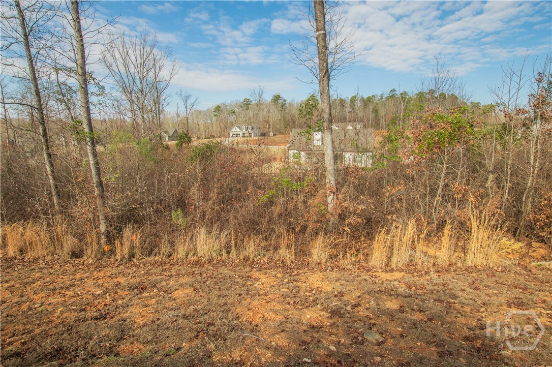 148 Chestnut Trail Commerce, GA 30529 - Photo 43 of 49 Gallery Image 43