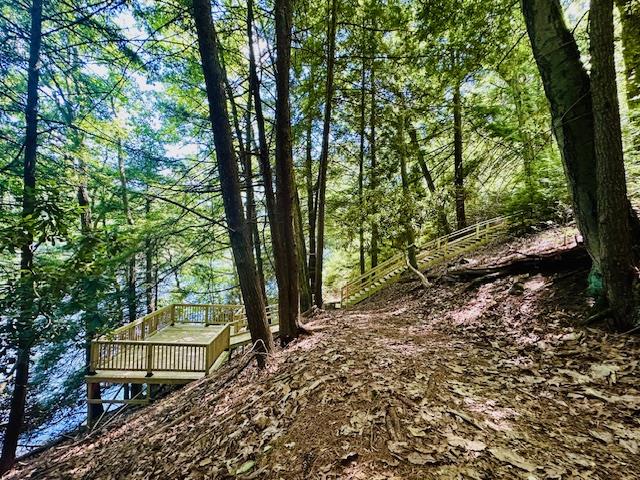 Mcclain-watson McClain-Watson Road Shippenville, PA 16254 - Photo 2 of 11