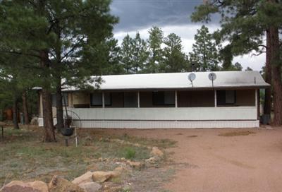1976 Rim View Lane Overgaard, AZ 85933 - Photo 1 of 5 Primary Photo
