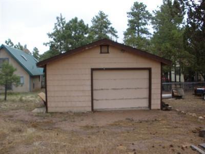 1976 Rim View Lane Overgaard, AZ 85933 - Photo 3 of 5 Additional Photo