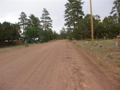 1976 Rim View Lane Overgaard, AZ 85933 - Photo 4 of 5 Additional Photo