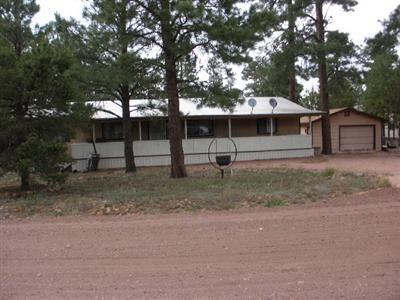 1976 Rim View Lane Overgaard, AZ 85933 - Photo 5 of 5 Additional Photo