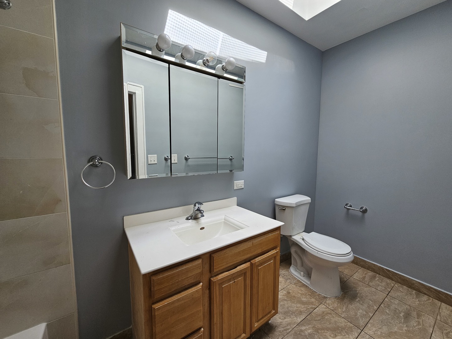 6600-04 West Roosevelt Road West Oak Park, IL 60304 - Photo 20 of 23 a bathroom with a sink a toilet and mirror