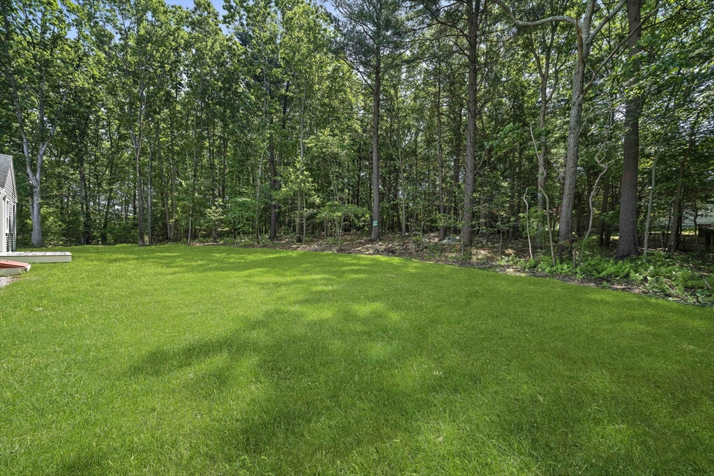 5 Clarendon Holbrook, MA 02343 - Photo 31 of 40