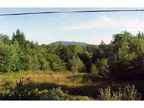 * Taylor Hill Road Danbury, NH 03230 - Photo 3 of 3