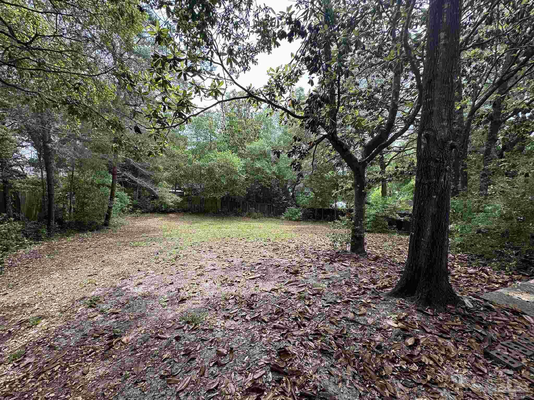 511 Maple Avenue Niceville, FL 32578 - Photo 17 of 17 a view of a forest with trees in the background