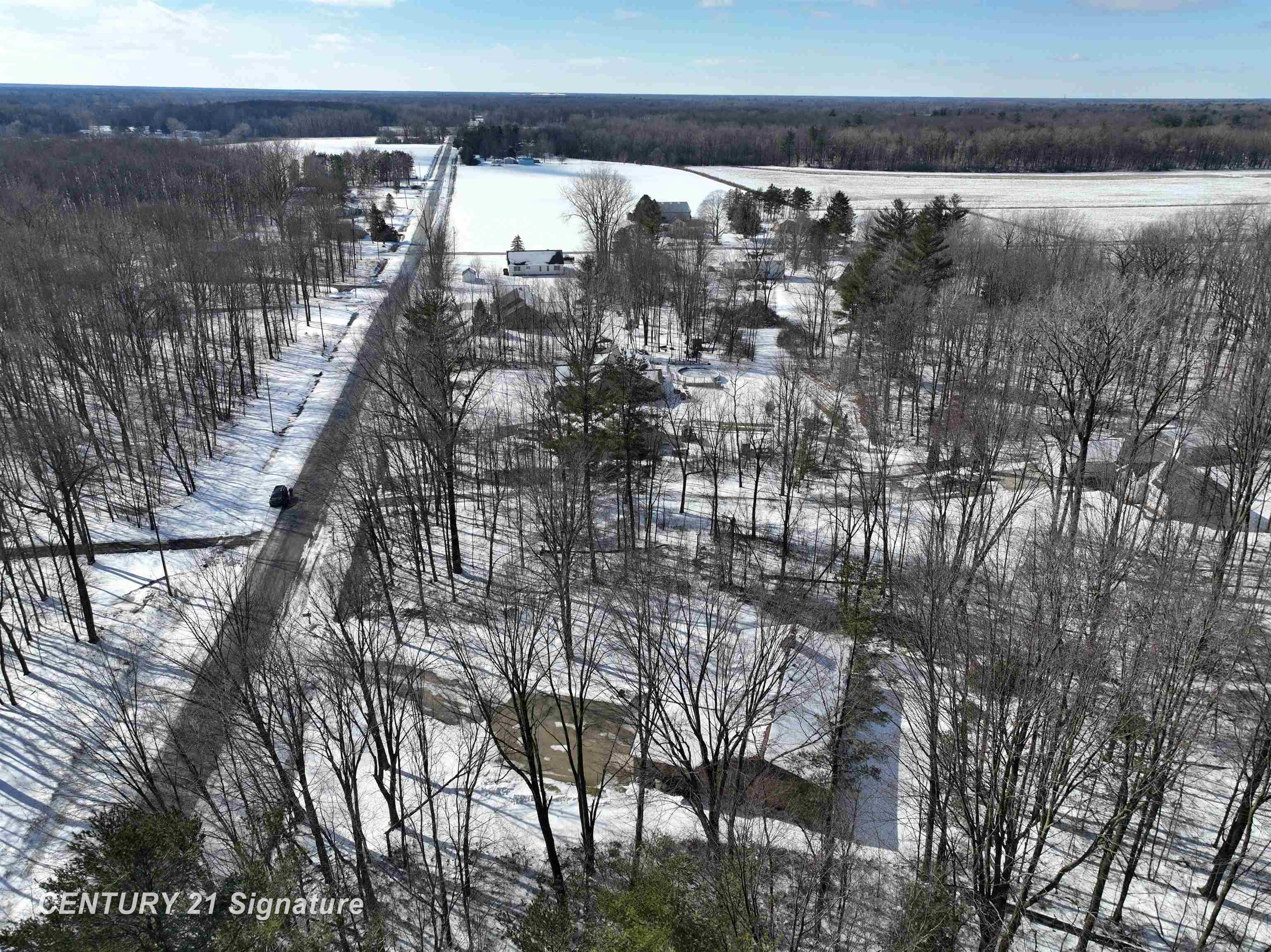 9201 Downing Road Birch Run, MI 48415 - Photo 54 of 59