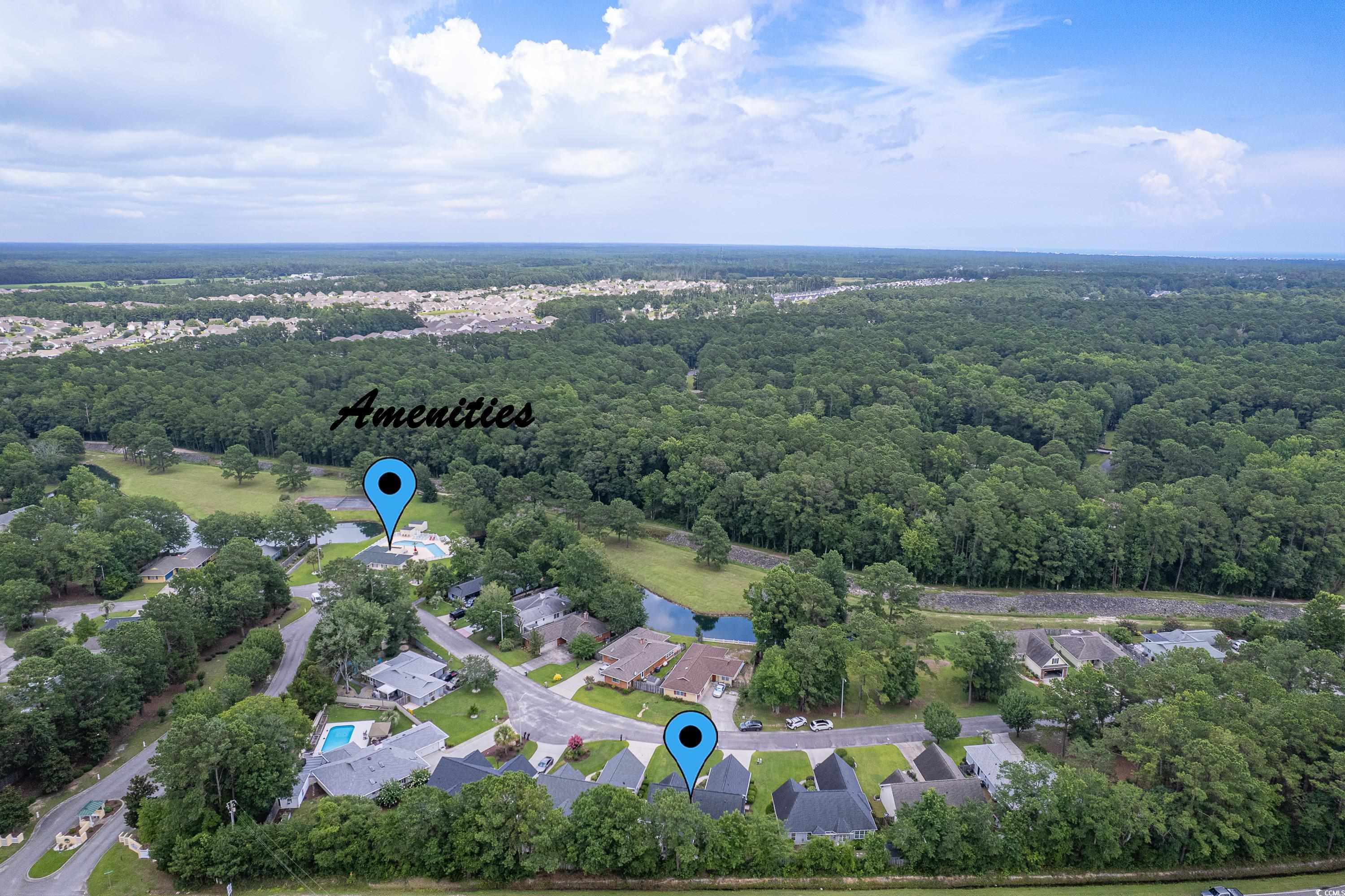 101 Cedar Tree Lane Southwest Calabash, NC 28467 - Photo 38 of 40 Aerial view of a forest