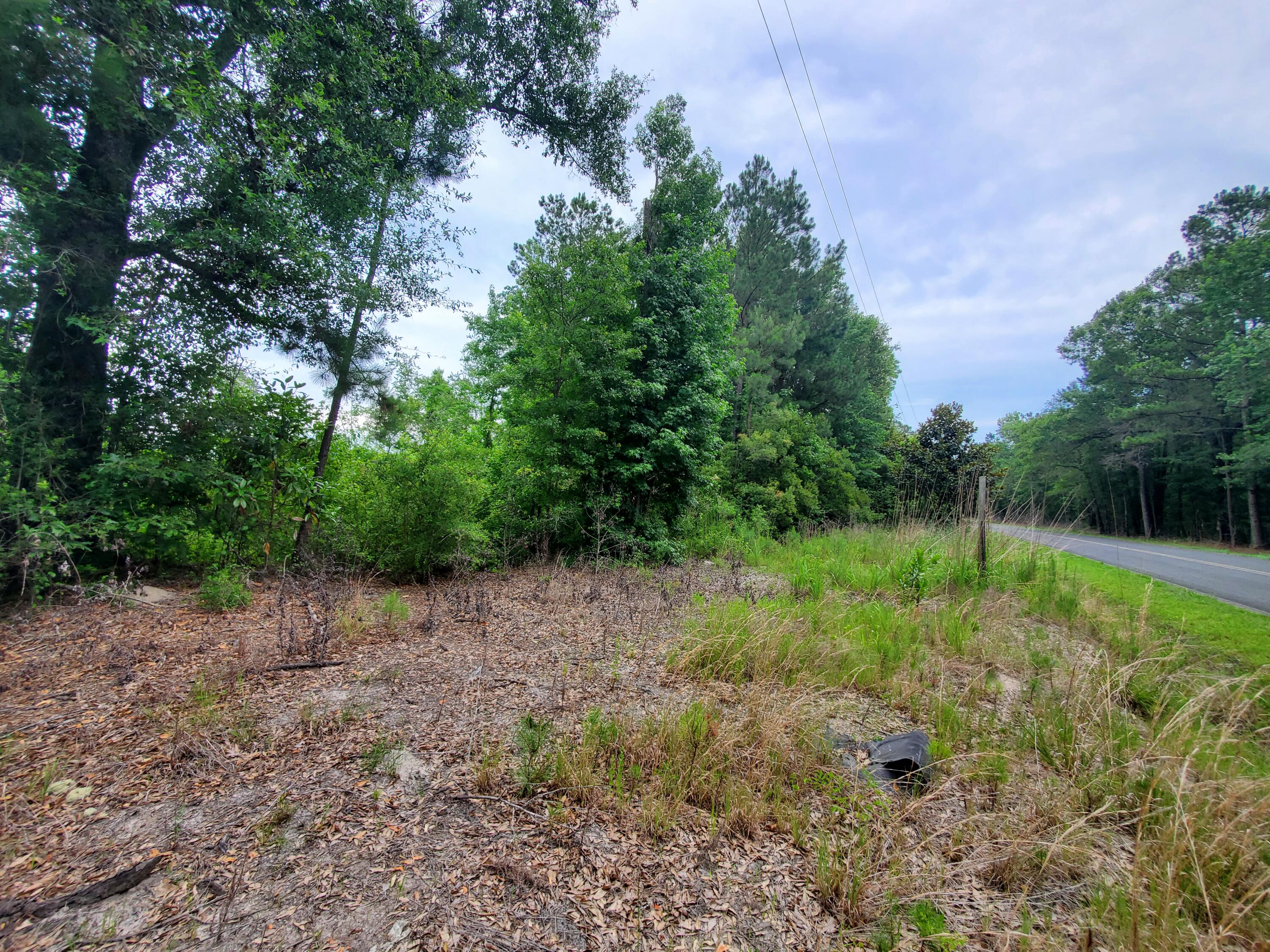 0 Second Texas Road St. George, SC 29477 - Photo 2 of 4 20220614_145259