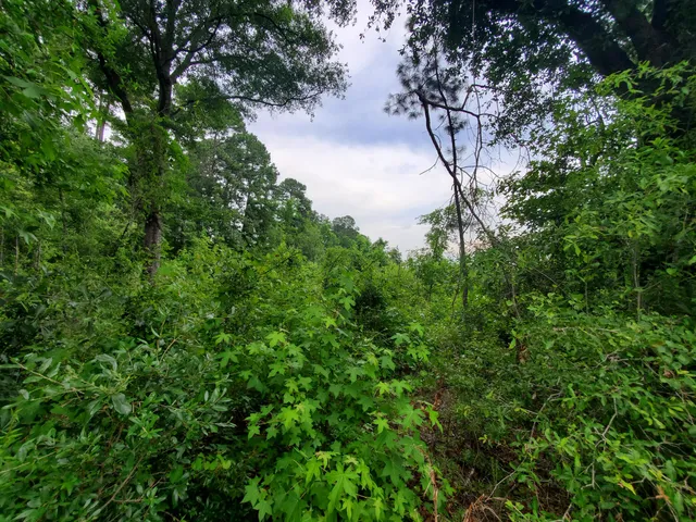$44,000 | 0 Second Texas Road, St. George, SC 29477