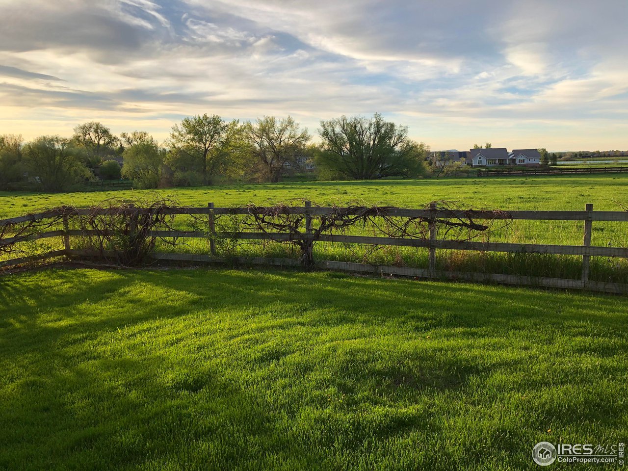 8435 Brittany Place Niwot, CO 80503 - Photo 38 of 40 a view of park with bench and trees