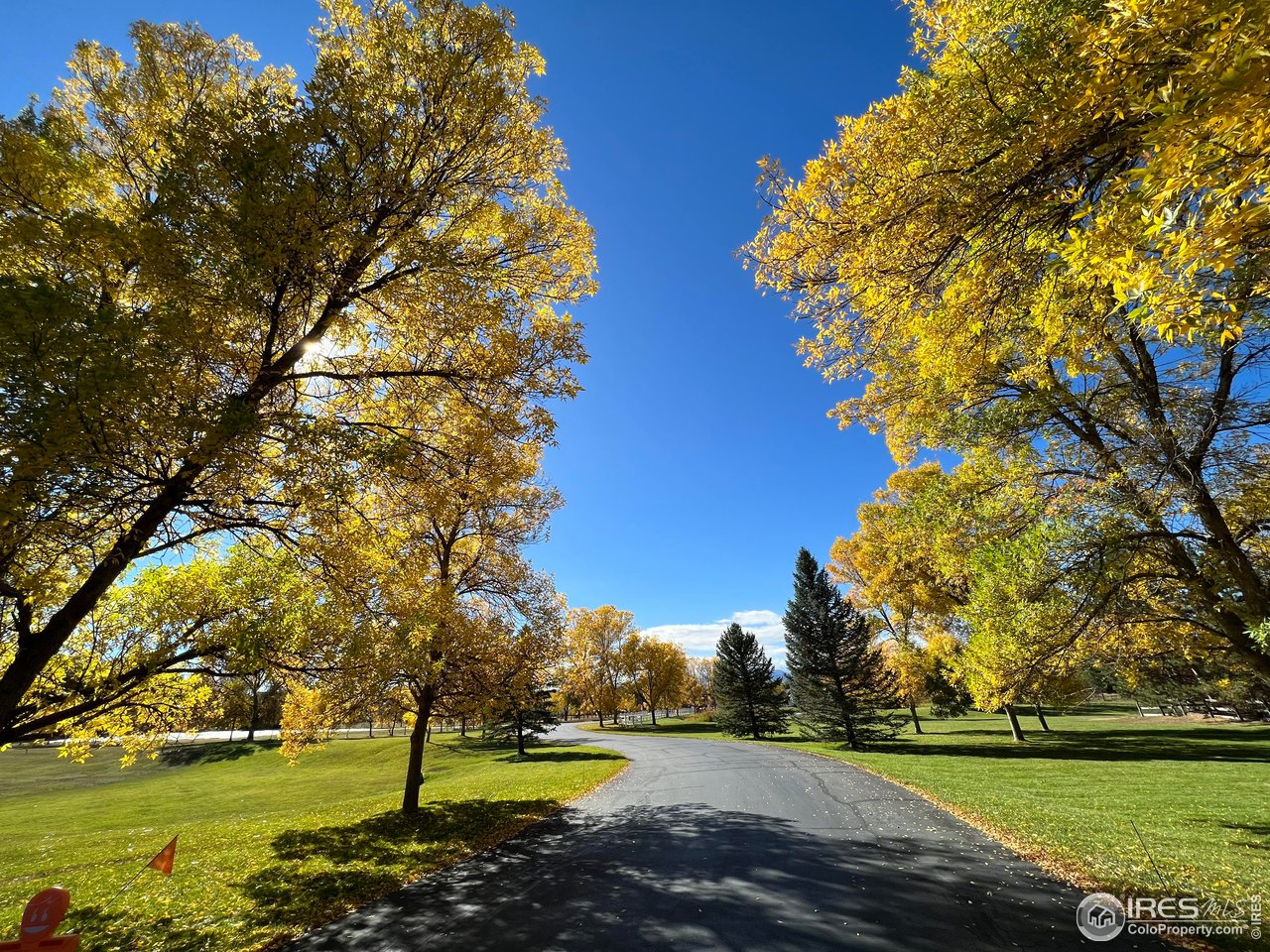8435 Brittany Place Niwot, CO 80503 - Photo 39 of 40 a view of a golf course with a trees
