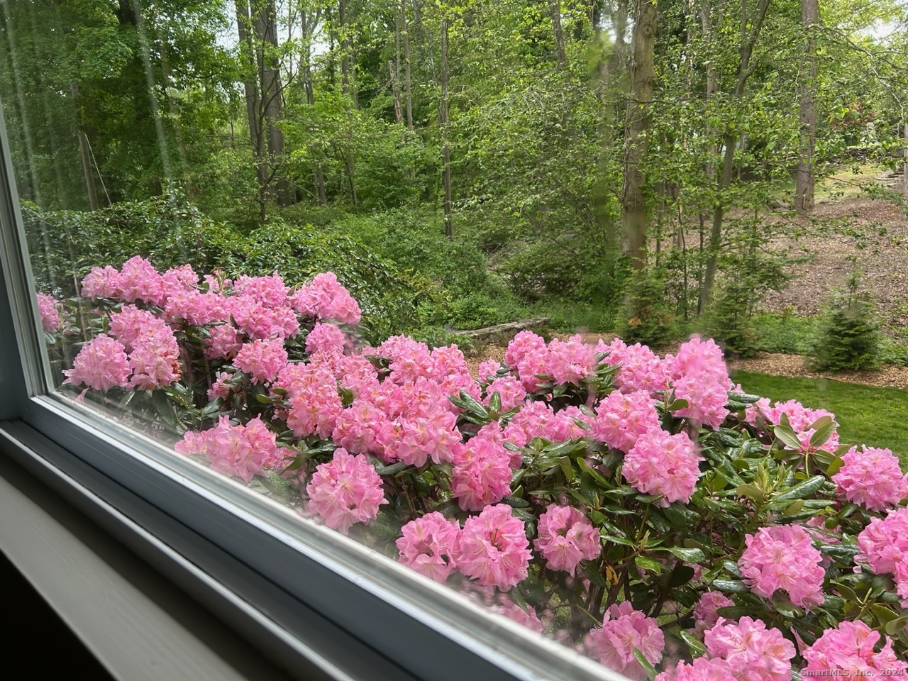 5 Wakerobin Road Norwalk, CT 06851 - Photo 25 of 27 Beautiful perennials