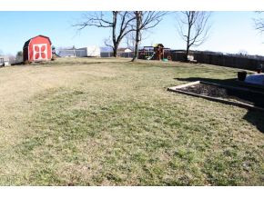 228 Webb Road Piney Flats, TN 37686 - Photo 12 of 16 Backyard
