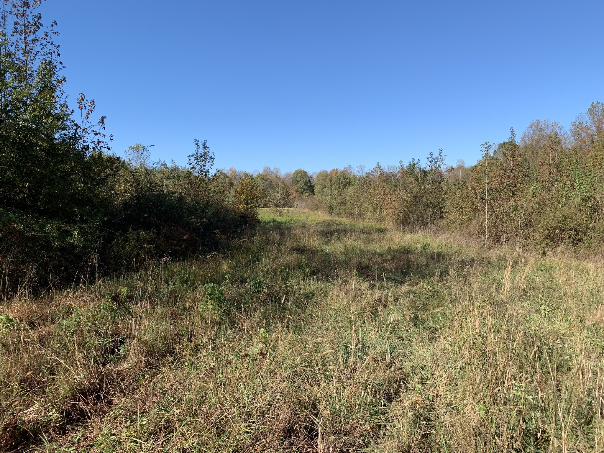 19 Moore Cemetery Road Flintville, TN 37335 - Photo 8 of 15 Gallery Image 8