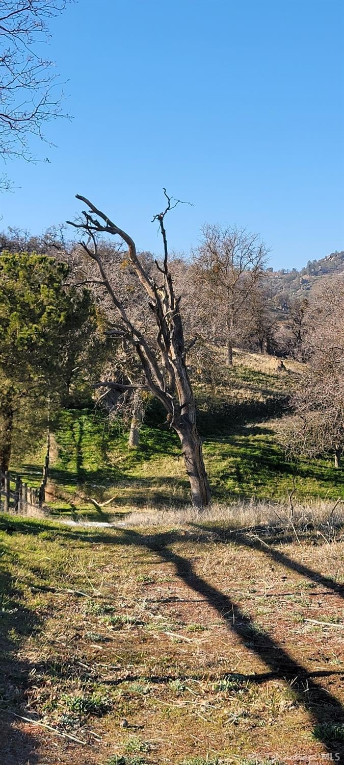 0 Caparell Tehachapi Ca Tehachapi, CA 93561 - Photo 10 of 11 Gallery Image 10