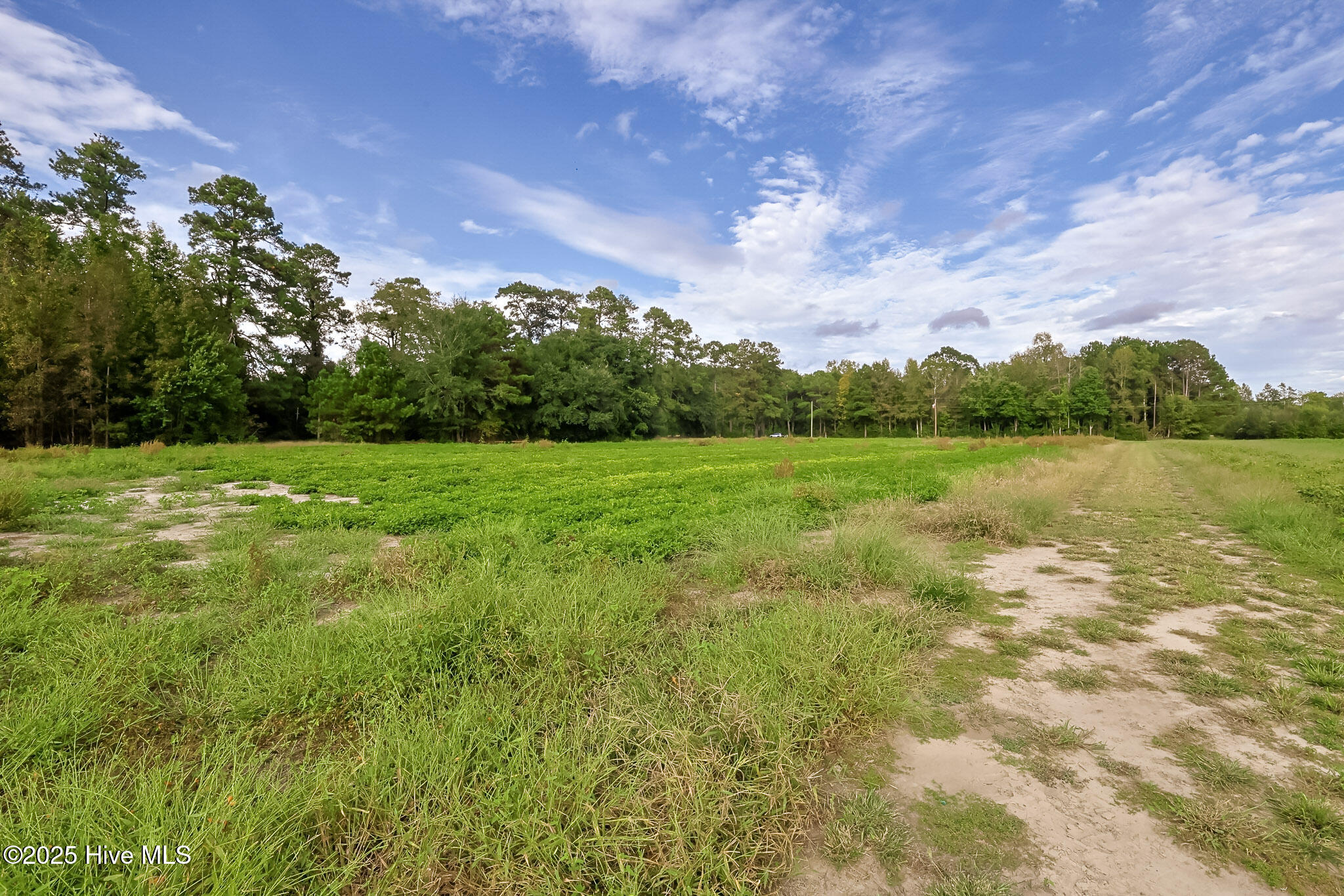 2-515 Porter Swamp Road Cerro Gordo, NC 28430 - Photo 5 of 12 04