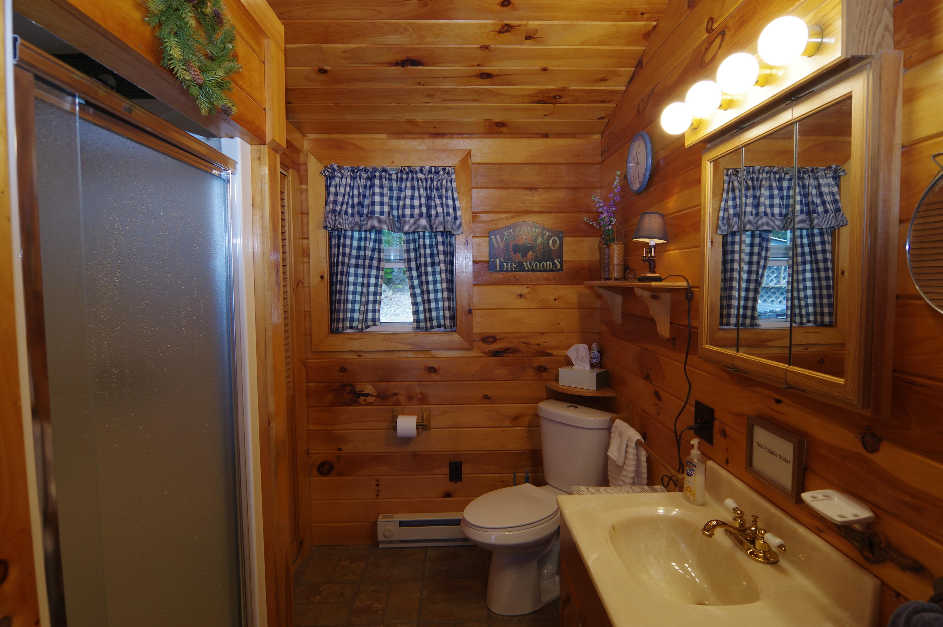 194 North Shore Road Abbot, ME 04406 - Photo 15 of 25 IMGP7573