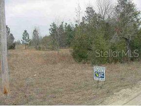 Lot 32 Southeast Lot Road Summerfield, FL 34491 - Photo 1 of 1 Primary Photo